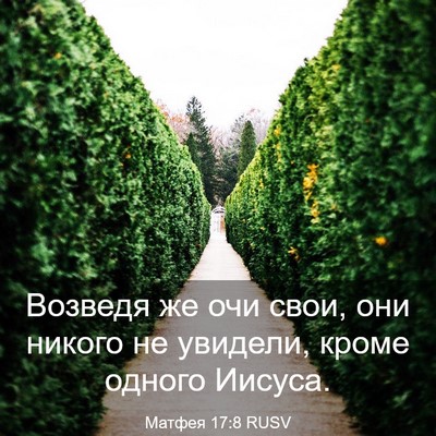 Picture 03 - Матфея 17:8 RUSV - Возведя же очи свои, они - Bible Verse Picture