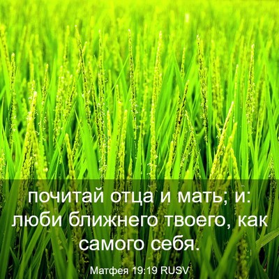 Picture 03 - Матфея 19:19 RUSV - почитай отца и мать; и: люби - Bible Verse Picture