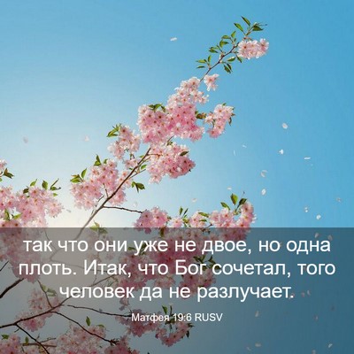 Picture 03 - Матфея 19:6 RUSV - так что они уже не двое, но - Bible Verse Picture
