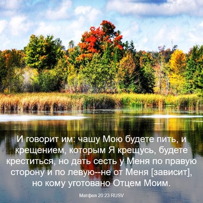 Picture 03 - Матфея 20:23 RUSV - И говорит им: чашу Мою - Bible Verse Picture