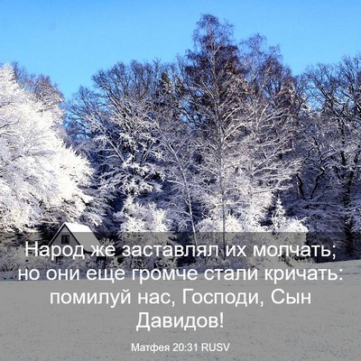 Picture 03 - Матфея 20:31 RUSV - Народ же заставлял их - Bible Verse Picture