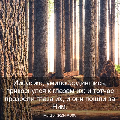 Picture 03 - Матфея 20:34 RUSV - Иисус же, умилосердившись, - Bible Verse Picture