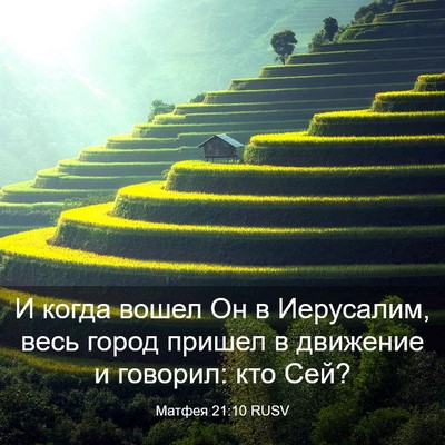 Picture 03 - Матфея 21:10 RUSV - И когда вошел Он в - Bible Verse Picture