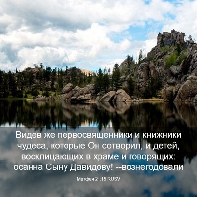 Picture 03 - Матфея 21:15 RUSV - Видев же первосвященники и - Bible Verse Picture