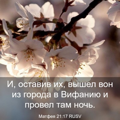 Picture 03 - Матфея 21:17 RUSV - И, оставив их, вышел вон из - Bible Verse Picture