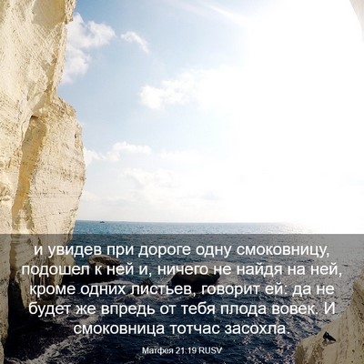 Picture 03 - Матфея 21:19 RUSV - и увидев при дороге одну - Bible Verse Picture