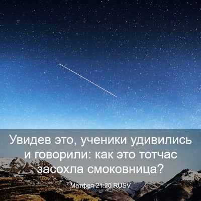 Picture 03 - Матфея 21:20 RUSV - Увидев это, ученики - Bible Verse Picture