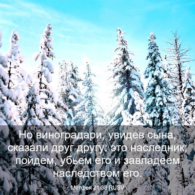 Picture 03 - Матфея 21:38 RUSV - Но виноградари, увидев - Bible Verse Picture