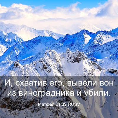 Picture 03 - Матфея 21:39 RUSV - И, схватив его, вывели вон - Bible Verse Picture