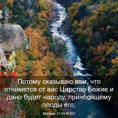 Picture 03 - Матфея 21:43 RUSV - Потому сказываю вам, что - Bible Verse Picture
