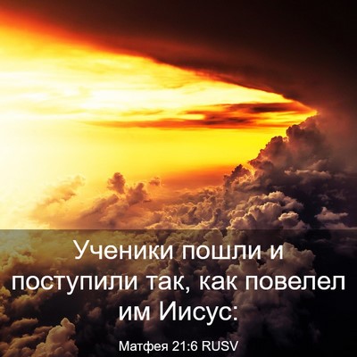 Picture 03 - Матфея 21:6 RUSV - Ученики пошли и поступили - Bible Verse Picture
