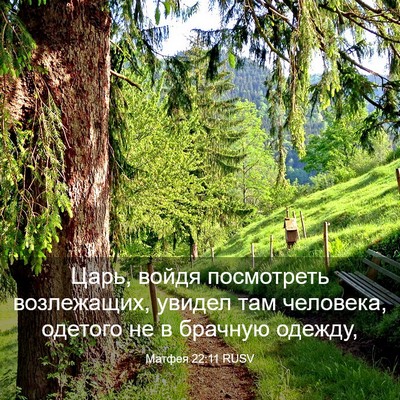 Picture 03 - Матфея 22:11 RUSV - Царь, войдя посмотреть - Bible Verse Picture