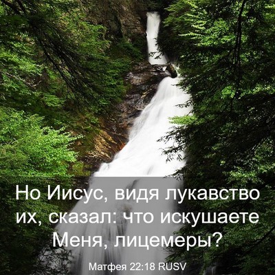 Picture 03 - Матфея 22:18 RUSV - Но Иисус, видя лукавство - Bible Verse Picture