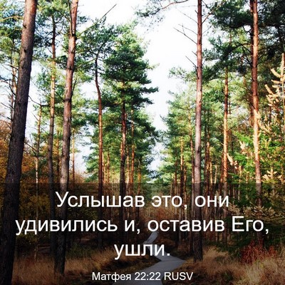 Picture 03 - Матфея 22:22 RUSV - Услышав это, они удивились - Bible Verse Picture