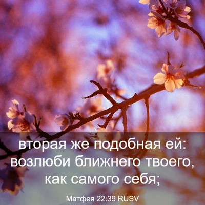 Picture 03 - Матфея 22:39 RUSV - вторая же подобная ей: - Bible Verse Picture