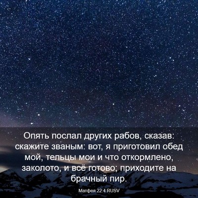 Picture 03 - Матфея 22:4 RUSV - Опять послал других рабов, - Bible Verse Picture