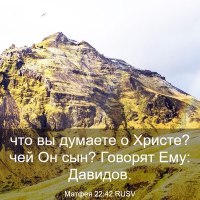 Picture 03 - Матфея 22:42 RUSV - что вы думаете о Христе? - Bible Verse Picture