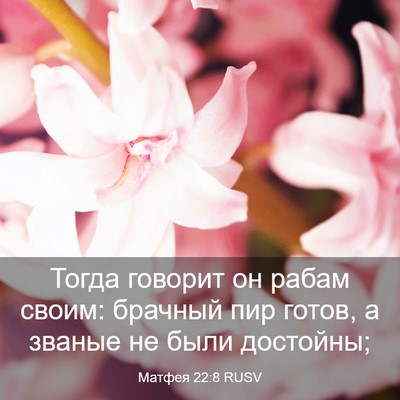 Picture 03 - Матфея 22:8 RUSV - Тогда говорит он рабам - Bible Verse Picture