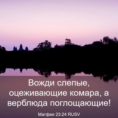 Picture 03 - Матфея 23:24 RUSV - Вожди слепые, оцеживающие - Bible Verse Picture
