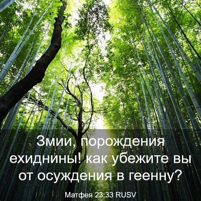 Picture 03 - Матфея 23:33 RUSV - Змии, порождения ехиднины! - Bible Verse Picture