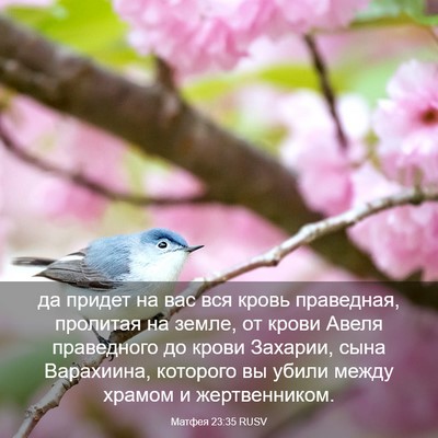 Picture 03 - Матфея 23:35 RUSV - да придет на вас вся кровь - Bible Verse Picture