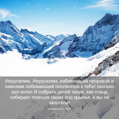 Picture 03 - Матфея 23:37 RUSV - Иерусалим, Иерусалим, - Bible Verse Picture