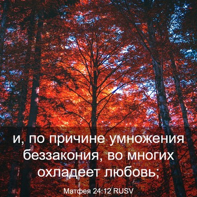 Picture 03 - Матфея 24:12 RUSV - и, по причине умножения - Bible Verse Picture
