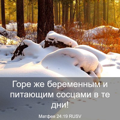 Picture 03 - Матфея 24:19 RUSV - Горе же беременным и - Bible Verse Picture