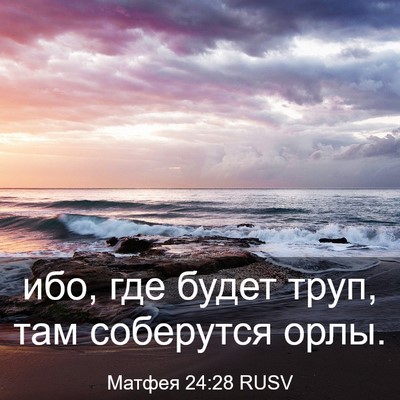 Picture 03 - Матфея 24:28 RUSV - ибо, где будет труп, там - Bible Verse Picture
