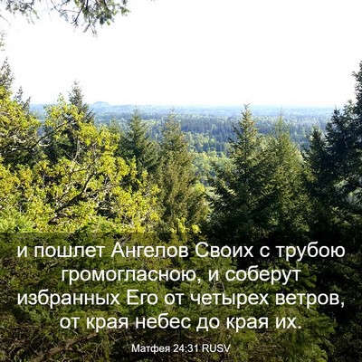 Picture 03 - Матфея 24:31 RUSV - и пошлет Ангелов Своих с - Bible Verse Picture