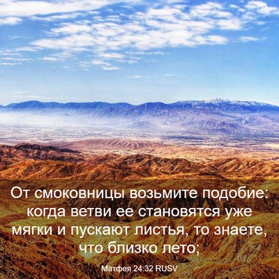 Picture 03 - Матфея 24:32 RUSV - От смоковницы возьмите - Bible Verse Picture