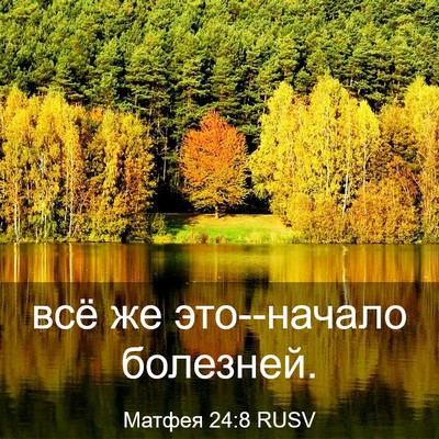 Picture 03 - Матфея 24:8 RUSV - всё же это--начало - Bible Verse Picture