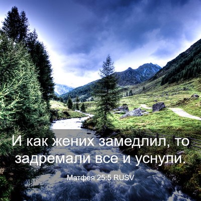 Picture 03 - Матфея 25:5 RUSV - И как жених замедлил, то - Bible Verse Picture