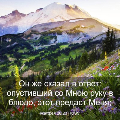 Picture 03 - Матфея 26:23 RUSV - Он же сказал в ответ: - Bible Verse Picture