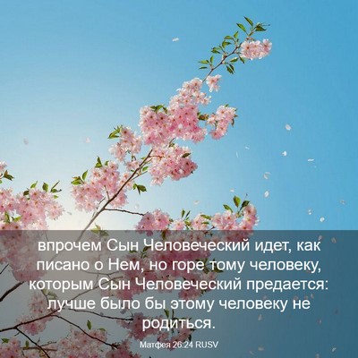 Picture 03 - Матфея 26:24 RUSV - впрочем Сын Человеческий - Bible Verse Picture