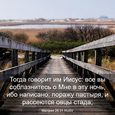 Picture 03 - Матфея 26:31 RUSV - Тогда говорит им Иисус: все - Bible Verse Picture