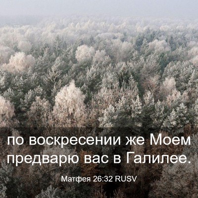 Picture 03 - Матфея 26:32 RUSV - по воскресении же Моем - Bible Verse Picture