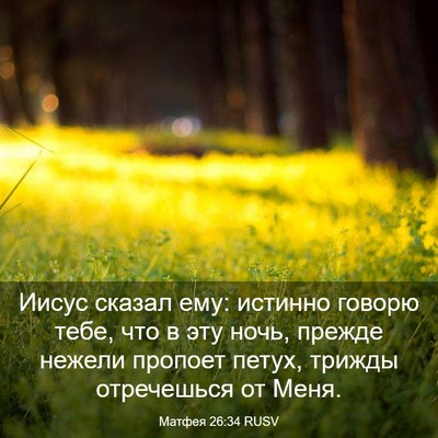 Picture 03 - Матфея 26:34 RUSV - Иисус сказал ему: истинно - Bible Verse Picture