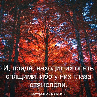 Picture 03 - Матфея 26:43 RUSV - И, придя, находит их опять - Bible Verse Picture