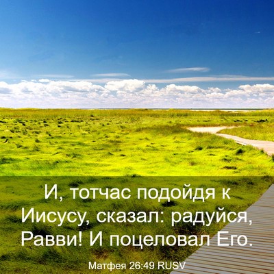 Picture 03 - Матфея 26:49 RUSV - И, тотчас подойдя к Иисусу, - Bible Verse Picture