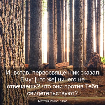 Picture 03 - Матфея 26:62 RUSV - И, встав, первосвященник - Bible Verse Picture