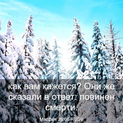 Picture 03 - Матфея 26:66 RUSV - как вам кажется? Они же - Bible Verse Picture