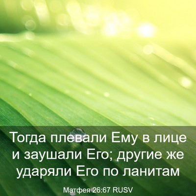 Picture 03 - Матфея 26:67 RUSV - Тогда плевали Ему в лице и - Bible Verse Picture