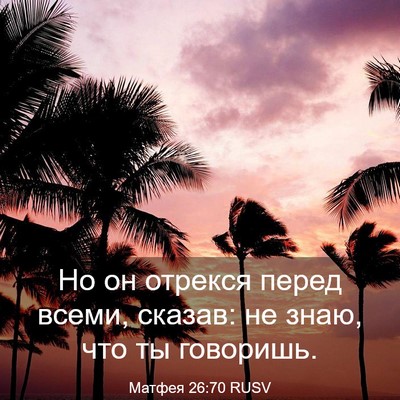 Picture 03 - Матфея 26:70 RUSV - Но он отрекся перед всеми, - Bible Verse Picture