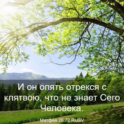 Picture 03 - Матфея 26:72 RUSV - И он опять отрекся с - Bible Verse Picture