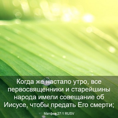 Picture 03 - Матфея 27:1 RUSV - Когда же настало утро, все - Bible Verse Picture