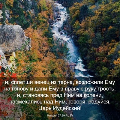 Picture 03 - Матфея 27:29 RUSV - и, сплетши венец из терна, - Bible Verse Picture