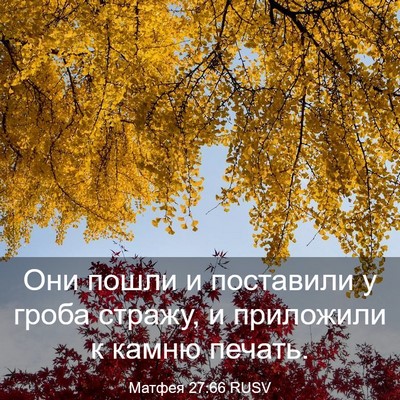Picture 03 - Матфея 27:66 RUSV - Они пошли и поставили у - Bible Verse Picture