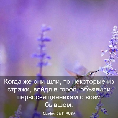 Picture 03 - Матфея 28:11 RUSV - Когда же они шли, то - Bible Verse Picture