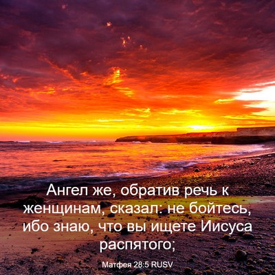 Picture 03 - Матфея 28:5 RUSV - Ангел же, обратив речь к - Bible Verse Picture
